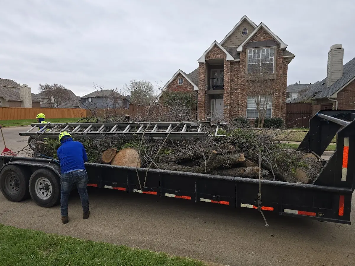 Expert Crown Reduction with proper safety equipment in Cedar Bluffs
